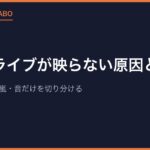 メガドライブが映らない原因と対処｜画面真っ暗・砂嵐・音だけを切り分ける
